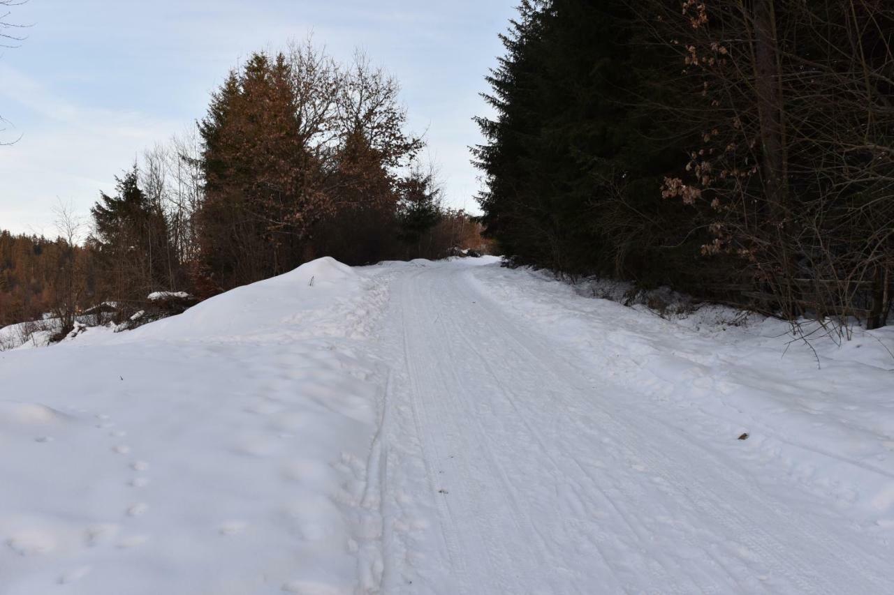 Homorod Kulcsoshaz Villa Băile Homorod Екстериор снимка